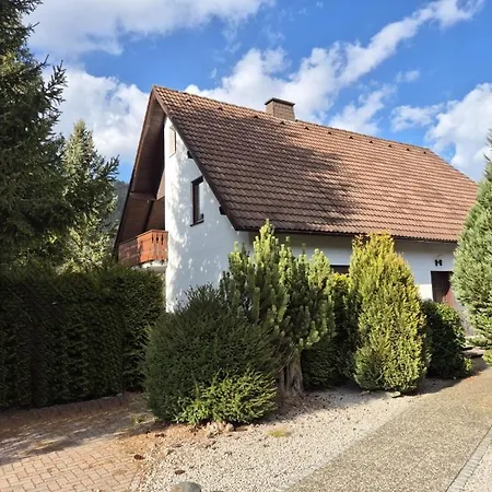 Taugwitztal-blick Daire